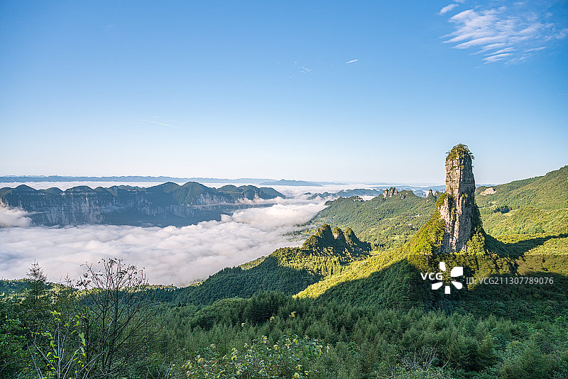 云海中的朝天笋图片素材