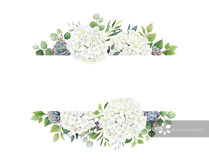 绿色白色绣球花和多肉植物框架图片素材