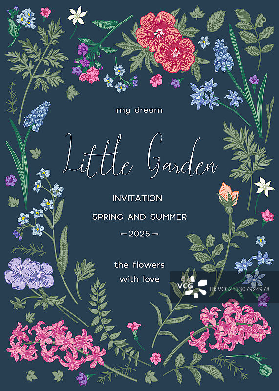 植物花卉卡片图片素材