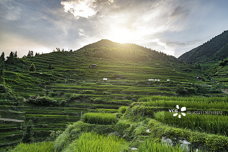 贵州加榜梯田风光图片素材