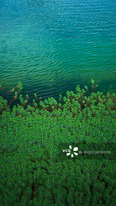 晋江市梧林古村落图片素材