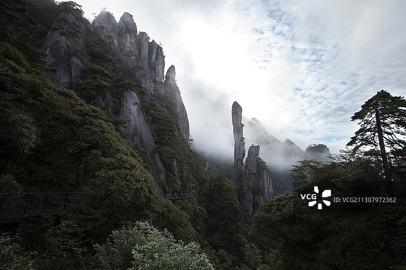 巨蟒出山图片素材