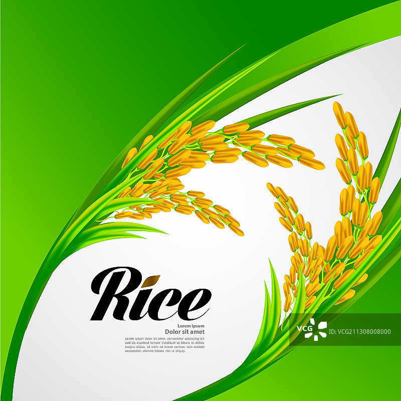 优质大米图片素材