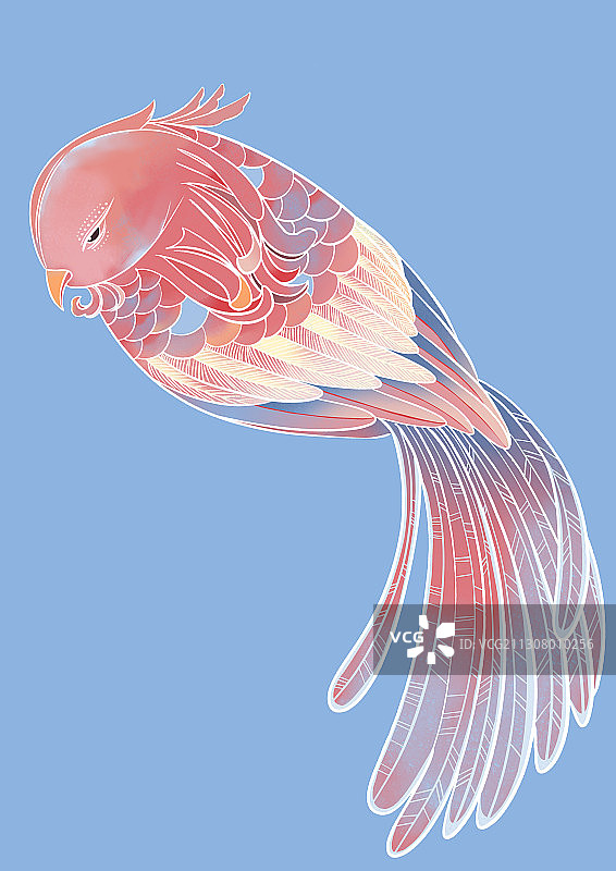 国潮鸟类图片素材