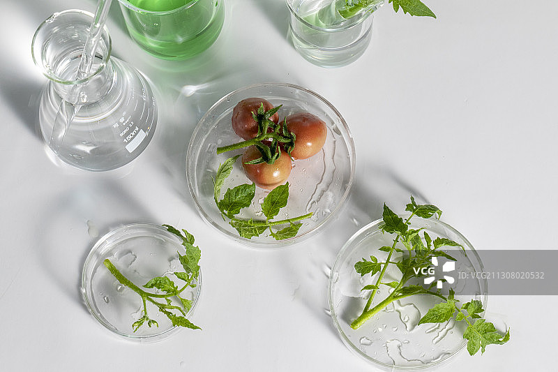 无土栽培实验室烧杯量杯溶液科技配制溶液图片素材