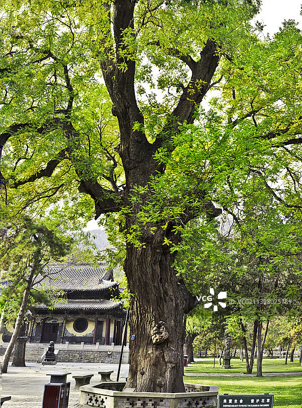 太原晋祠大画幅图片图片素材