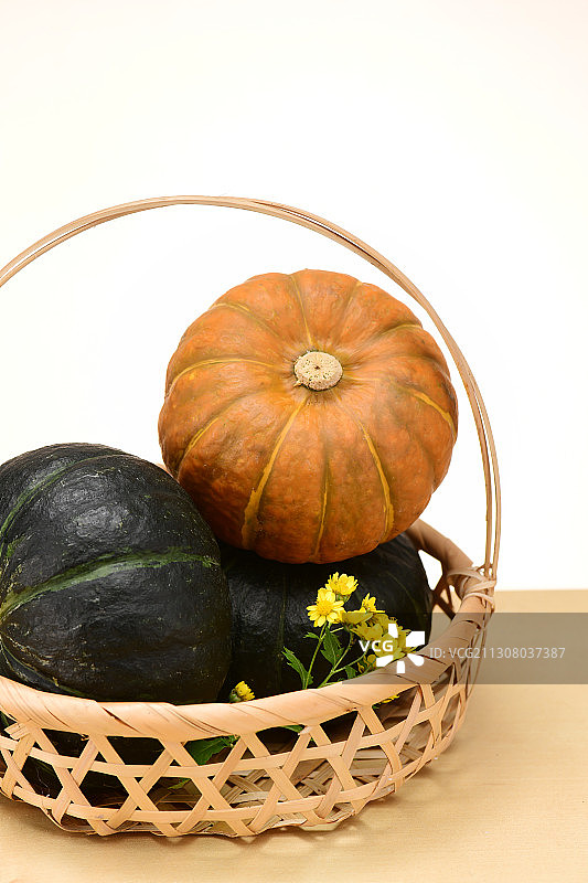 袖珍南瓜图片素材