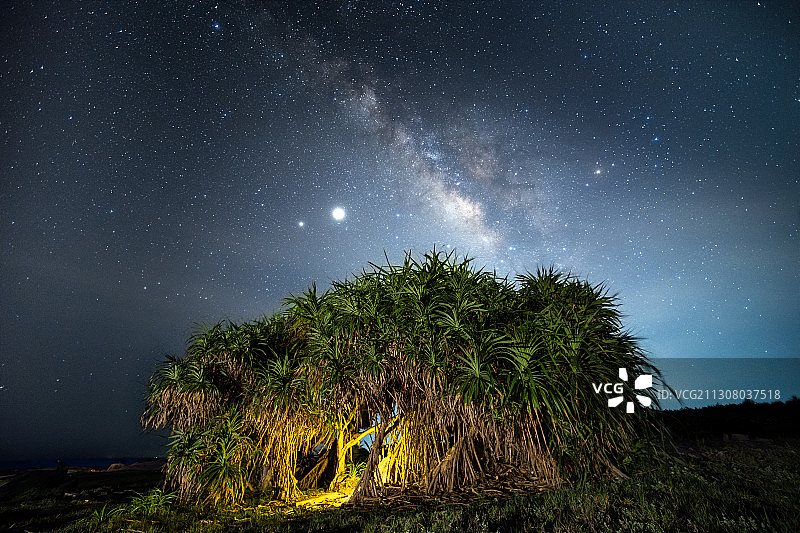 龙血树银河图片素材
