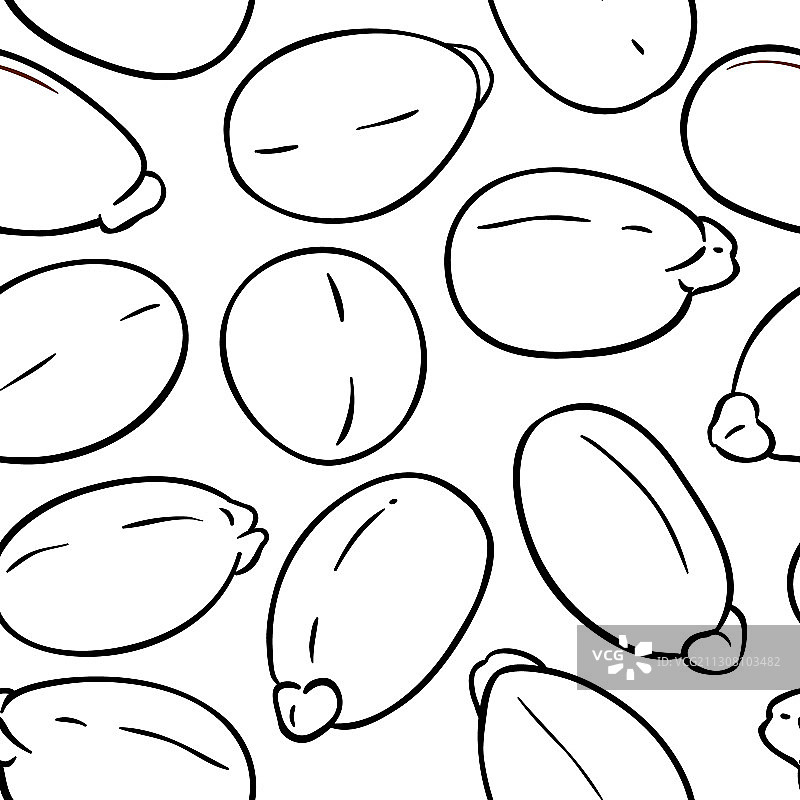 白色背景上的蓖麻籽图案图片素材