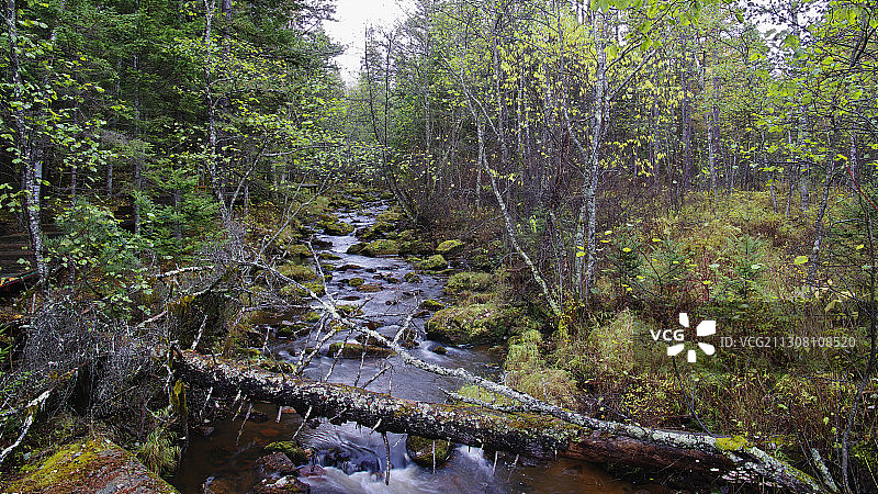 林都伊春图片素材