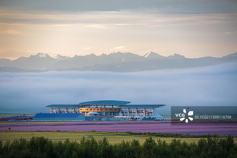 晨雾 （昭苏草原）图片素材