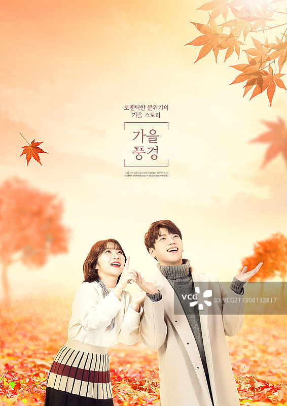 秋季情侣与枫树主题图片图片素材