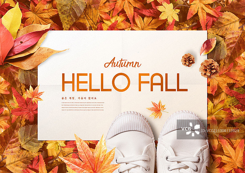 秋季主题图片：枫叶和鞋子上的明信片图片素材