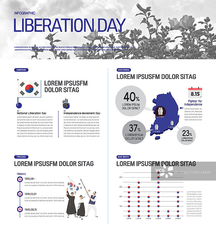 含有数据和图表的解放日矢量信息图图片素材