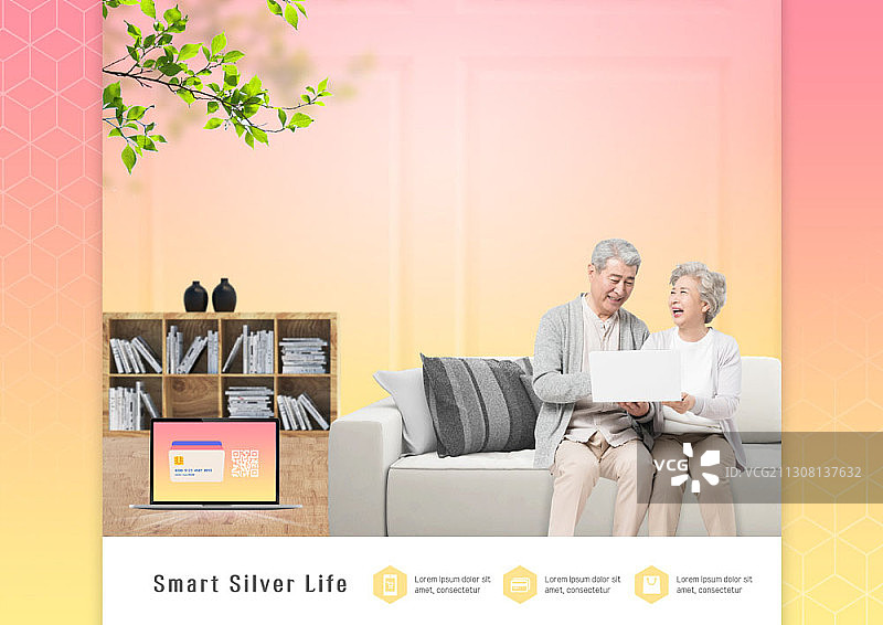 银色生活主题：老年夫妇在家使用笔记本电脑图片素材