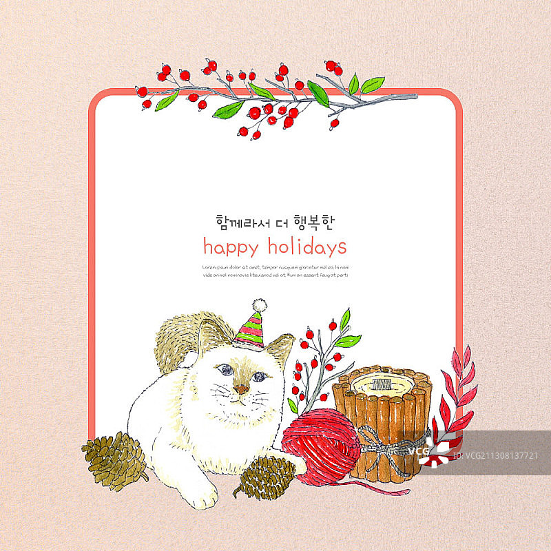 以戴着圣诞帽的猫和冬季道具为主题的节日框架插画图片素材