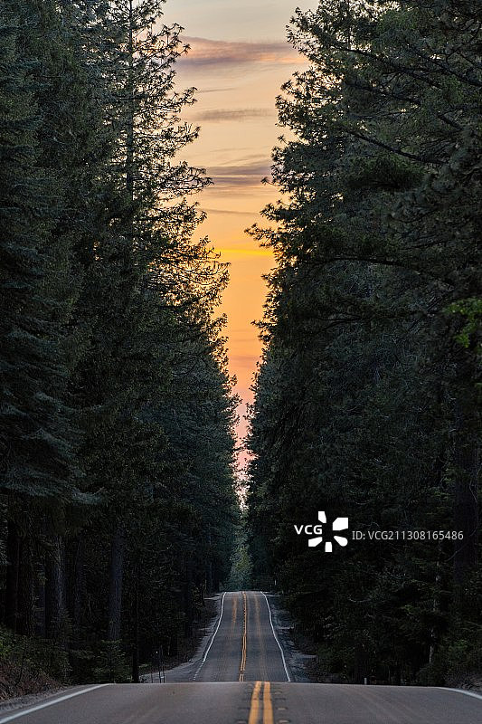 美国加州太浩国家森林日落时分的树木与天空之间的空旷道路图片素材