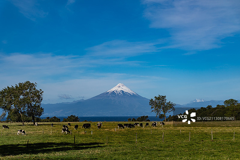 智利洛斯 Lagos 地区，蓝色天空下的田野风光图片素材