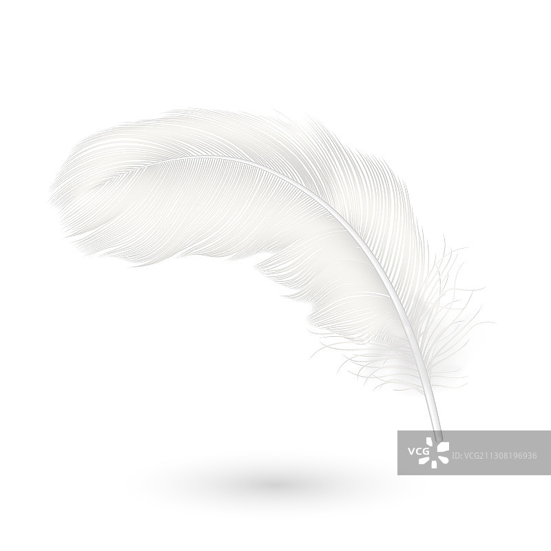 3D逼真掉落的白色蓬松卷曲物图片素材