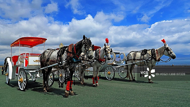 一套马车图片素材