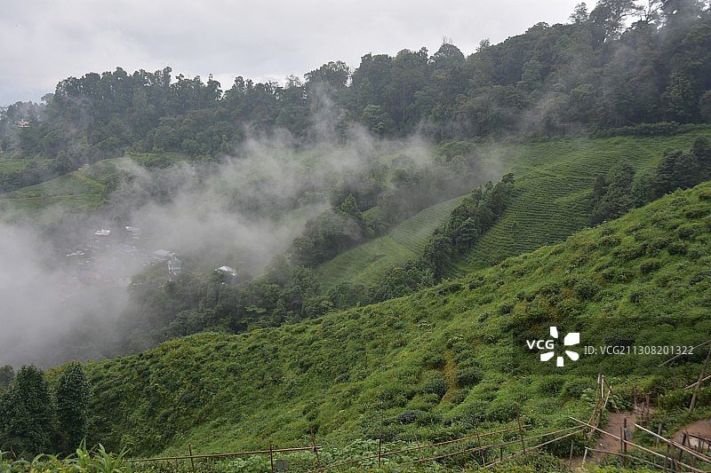 晴空下的风景，印度安得拉邦拉贾赫穆恩德里图片素材