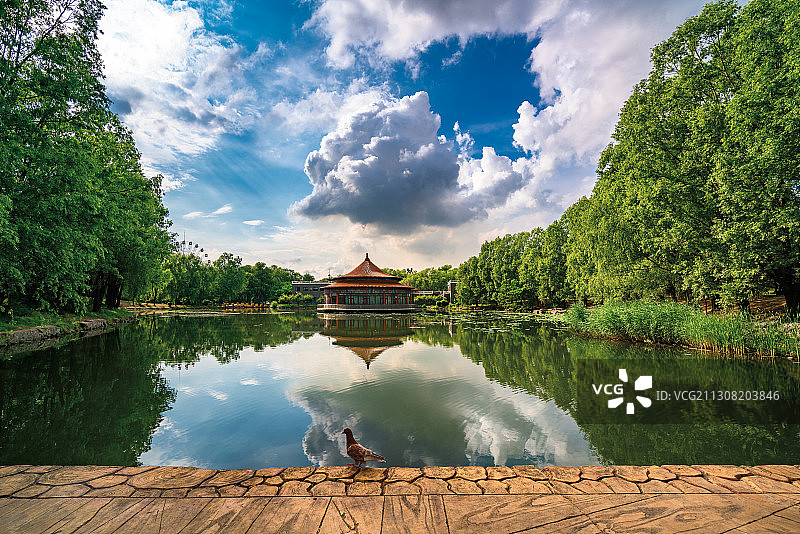 鞍山二一九公园风光图片素材