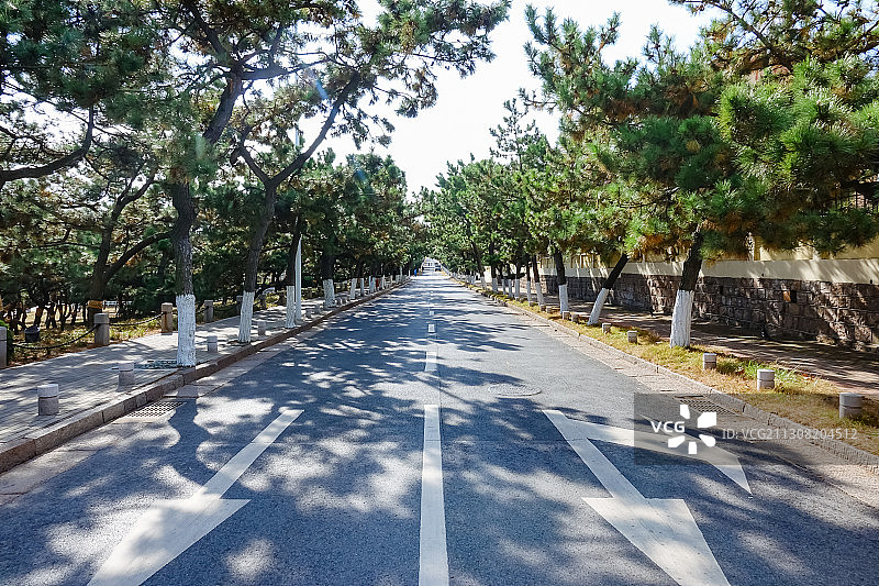 山东青岛八大关和东海路笔直干净的海滨道路图片素材