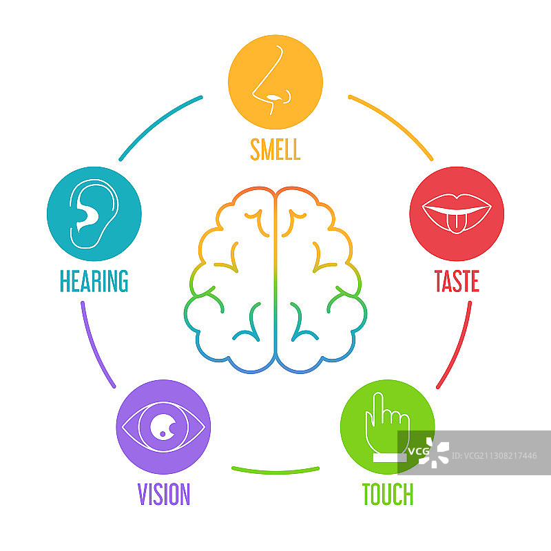 五感图标合集图片素材