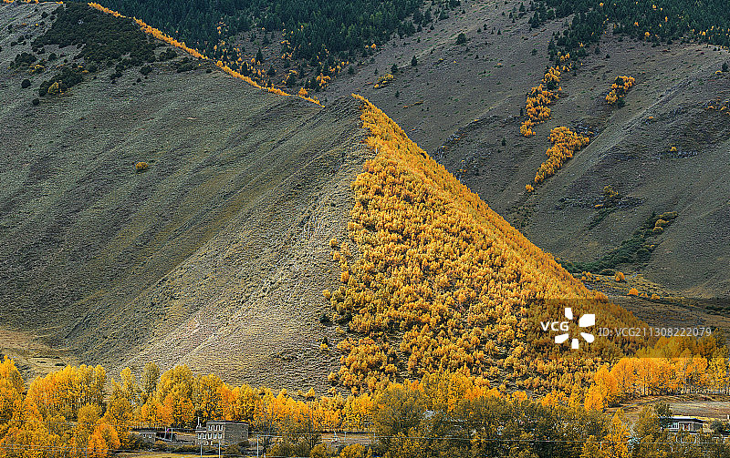 川西甲根坝的秋色图片素材