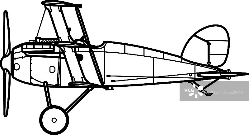 漂泊信天翁图片素材