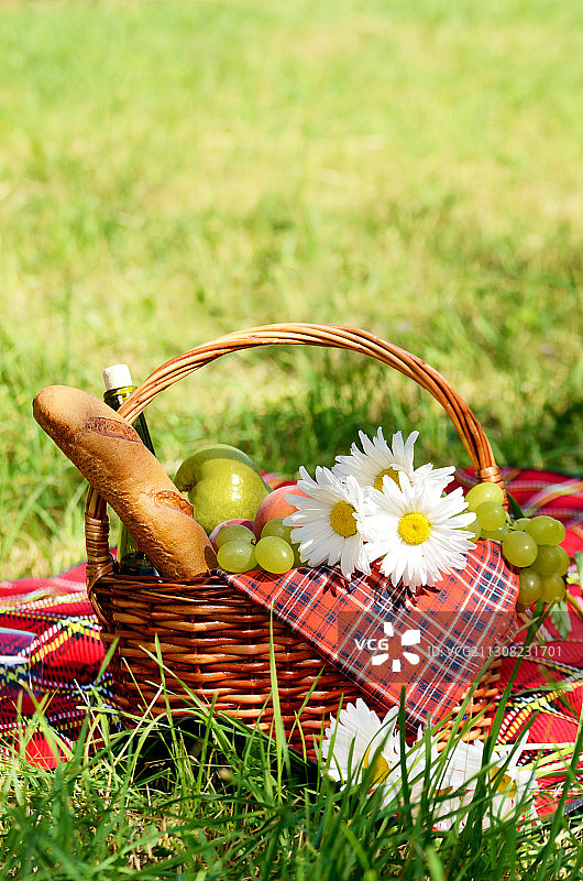 乌克兰苏梅地区田野里花篮中的鲜花特写图片素材