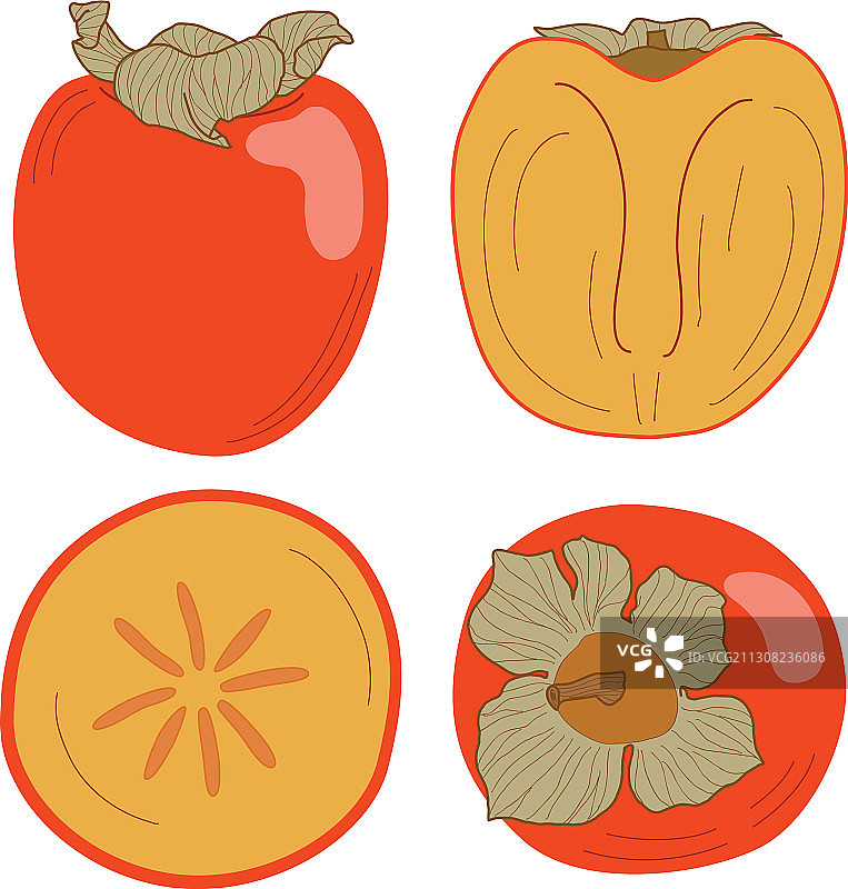 扁平风格柿子图片素材