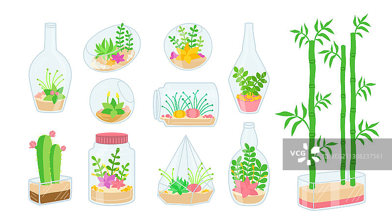 玻璃水族箱多肉植物扁平套装图片素材