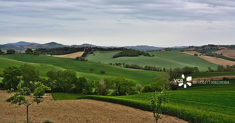 意大利马尔凯大区菲洛特拉诺的田野风光图片素材