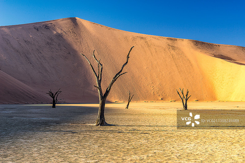 纳米比亚苏索斯维利沙漠风光图片素材