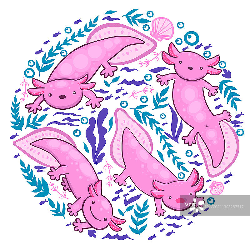 蝾螈和水下元素集合图片素材