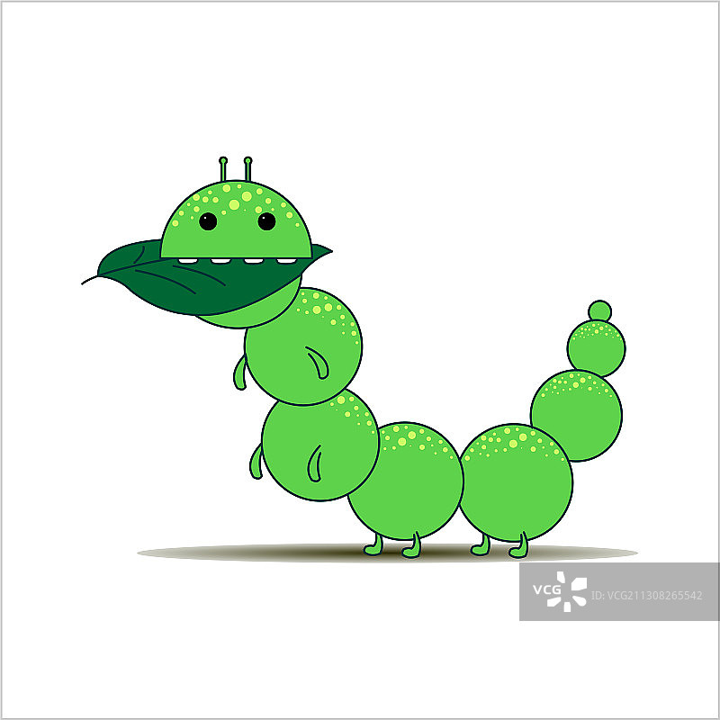 有趣的绿色毛毛虫吃树叶图片素材