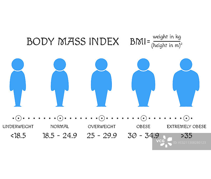 BMI概念：从体重不足到超重的体型图片素材