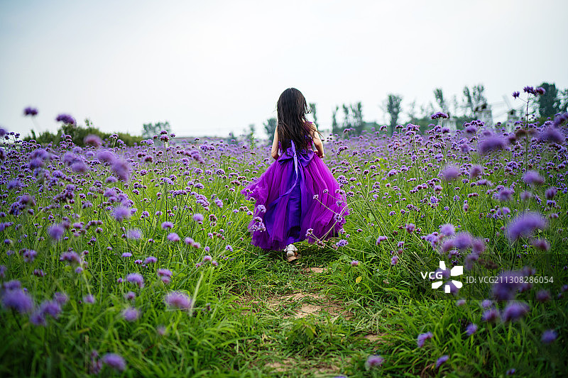 花海里的可爱女孩图片素材