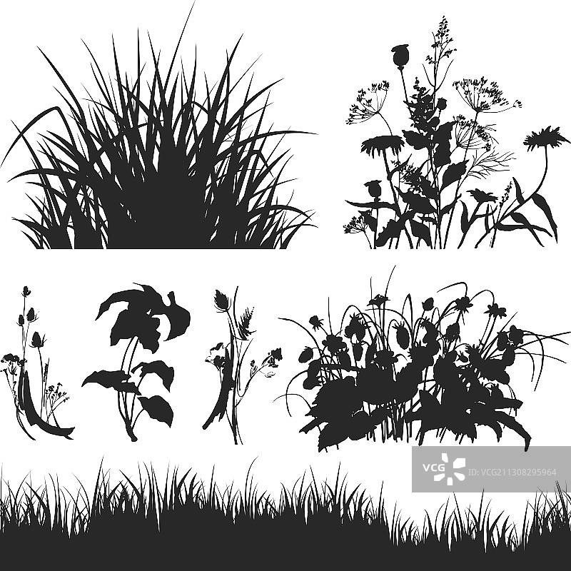 白色背景上孤立的草图片素材