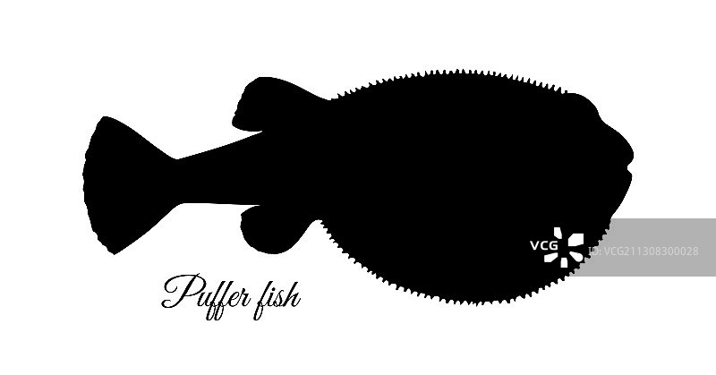 河豚鱼剪影图片素材