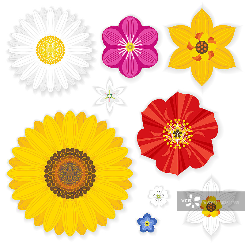 扁平风格花朵图片素材