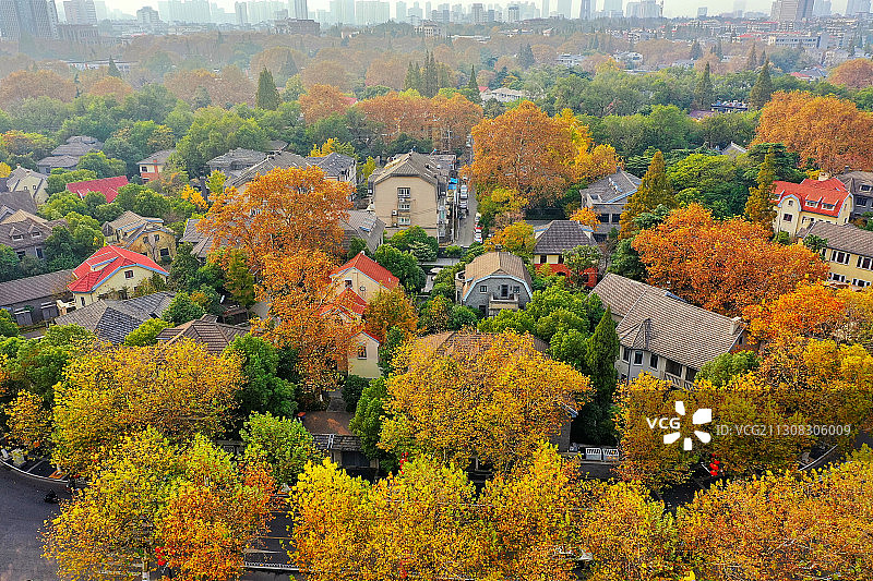 秋季南京颐和路颐和公馆区的建筑与树林的风光图片素材