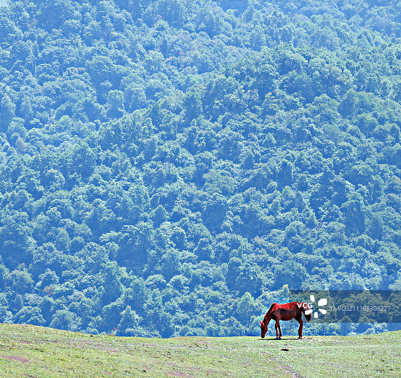 关山阵阵苍图片素材