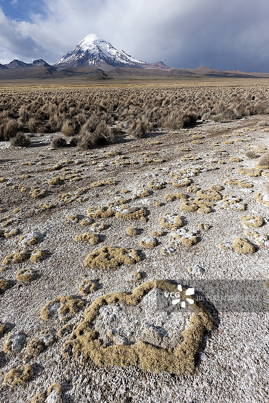 萨哈马国家公园沙漠风光，玻利维亚图片素材
