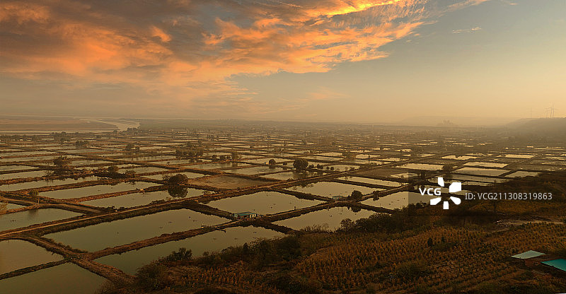 郑州黄河湿地秋色---王村万亩鱼塘，黄河鲤保护基地图片素材