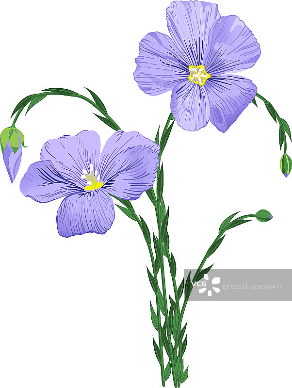 白色亚麻上的蓝色亚麻花图片素材