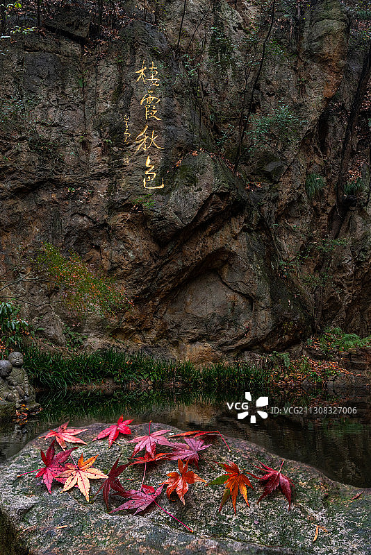 栖霞红叶图片素材