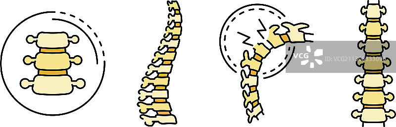 脊椎图标线条颜色集图片素材