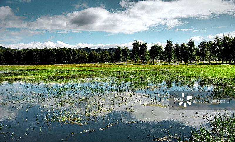 拉市海倒影图片素材